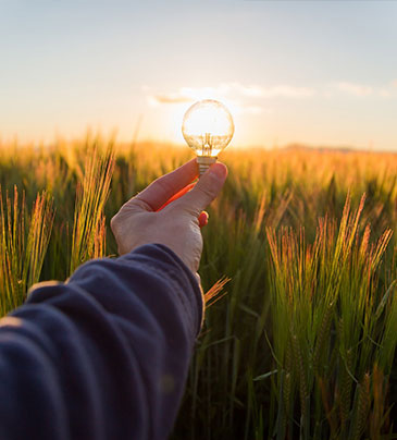 威客电竞·(中国)VKGAME